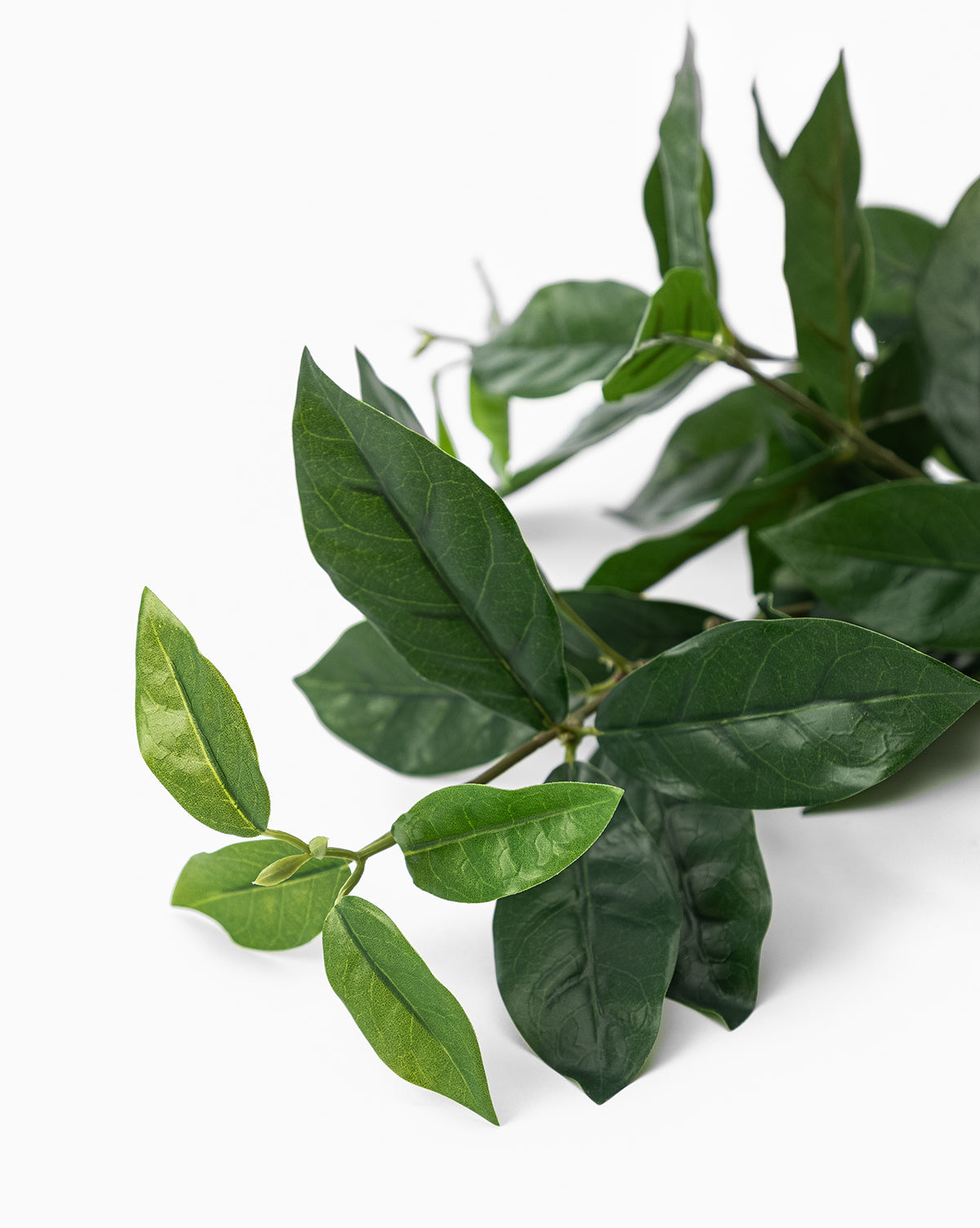 Faux Laurel Leaf Branch - image 3