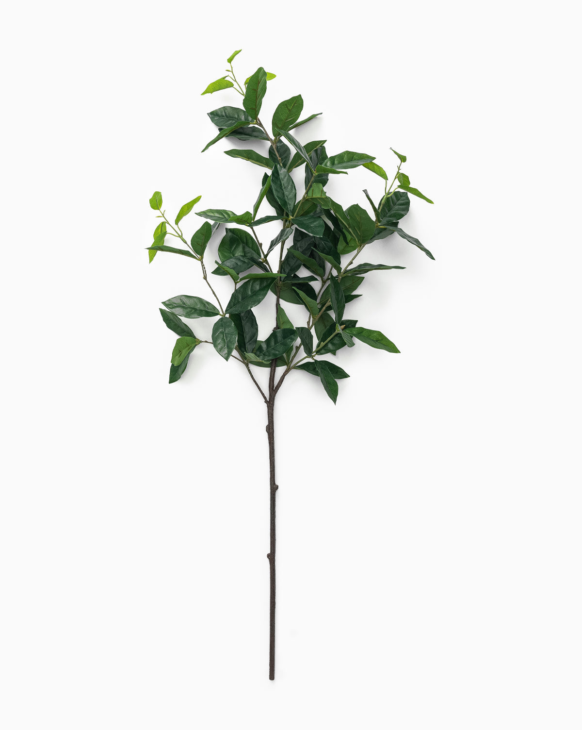 Faux Laurel Leaf Branch - image 1