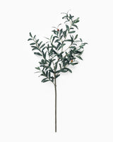 40-Inch Faux Olive Leaf Branch