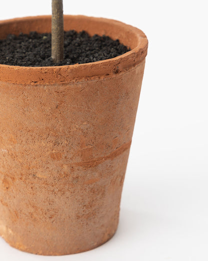 Potted Faux Rosemary Topiary - image 9
