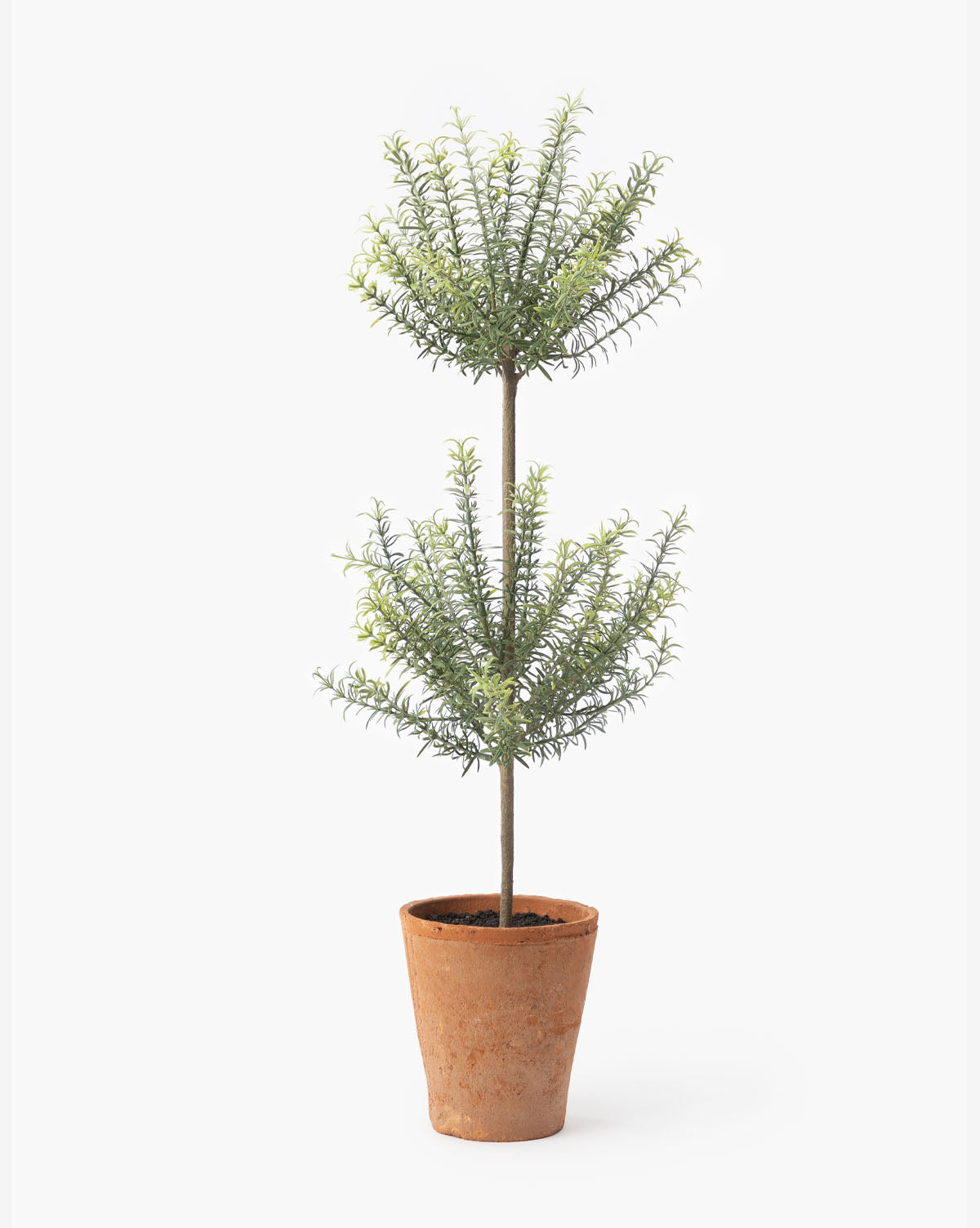 Potted Faux Rosemary Topiary - image 7