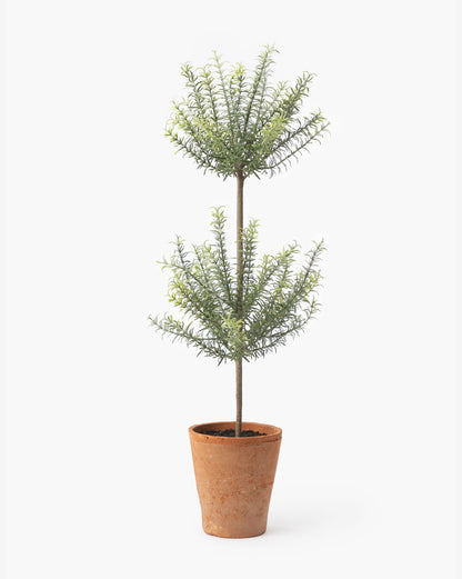 Potted Faux Rosemary Topiary - image 7
