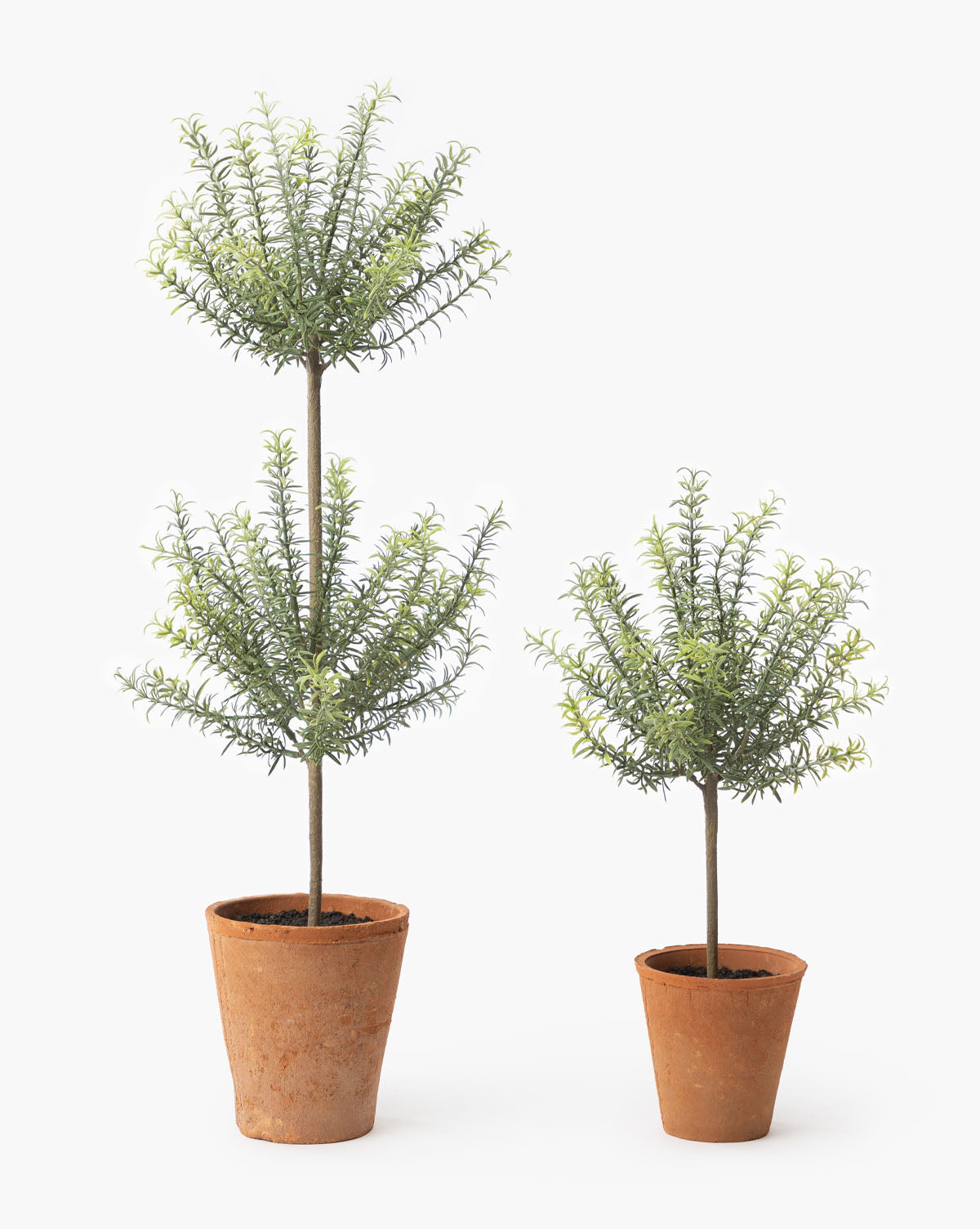 Potted Faux Rosemary Topiary - image 2