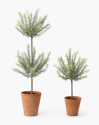 Potted Faux Rosemary Topiary - image 2
