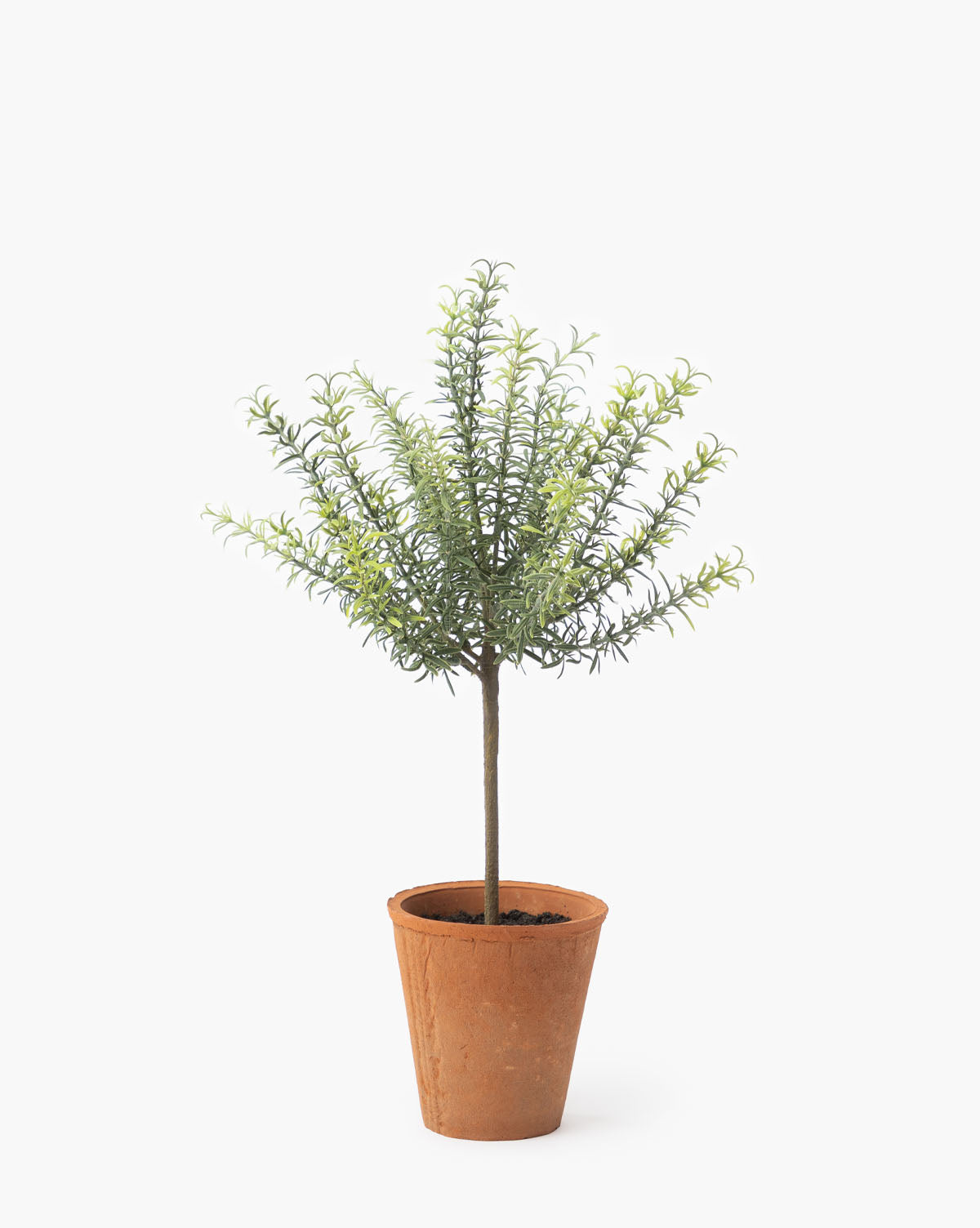 Potted Faux Rosemary Topiary - image 6