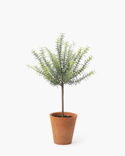 Potted Faux Rosemary Topiary - image 6