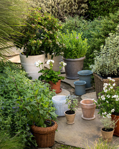 Ripple Edge Terracotta Planter - image 5